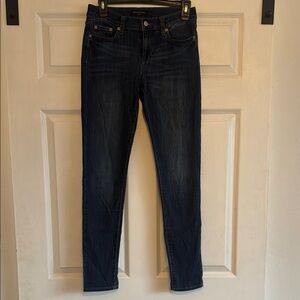 Banana Republic Blue Skinny Jeans Classic Fit